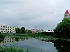 -日照海滨国家森林公园