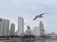 -大连圣亚海洋世界