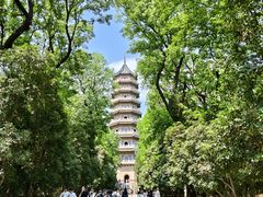 -灵谷景区