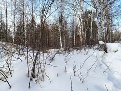 -北极村旅游风景区