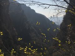 -北京上方山国家森林公园