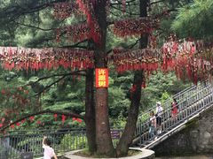 -苍山感通索道