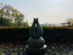 -舟山朱家尖绿城威斯汀度假酒店