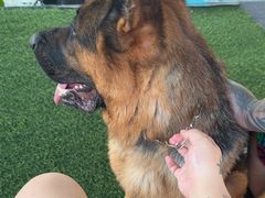 -千岛湖-欢乐水世界