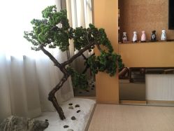 -JNK皮肤管理中心