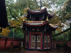 -峨眉山报国寺