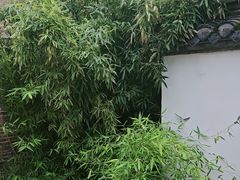 -天朝元辅-徐州民俗博物馆