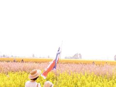 -中国天府农业博览园