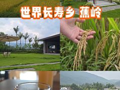 -梅州天地人花园酒店(梅县人民广场店)