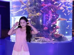 -石家庄极地海洋世界