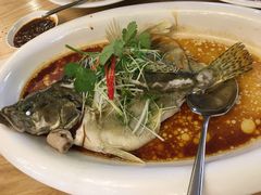 清蒸桂花鱼-德胜轩正宗顺德菜(宝安沙井会展中心店)