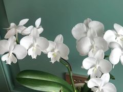 -南堂馆·新川菜(春熙路店)