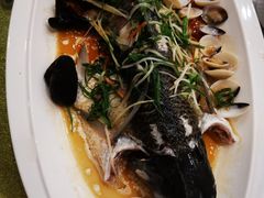 -鹭园酒家·四十年老字号