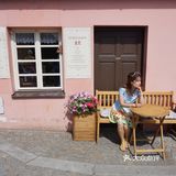 三两只洁白和平鸽悠哉地觅食