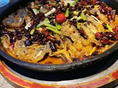 -老板恋上鱼(恒隆广场店)