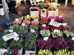 -卢森堡圣母教堂