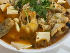 -煲来饱去冷水鱼