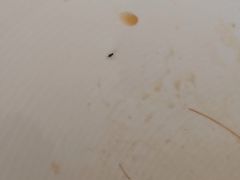 -弘馆·镜湖印象