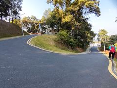 -黄埔油麻山森林公园