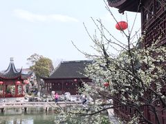 -檀园