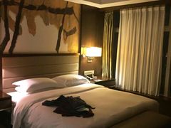 -北京希尔顿逸林酒店