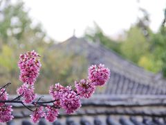 -天龙八部武侠城