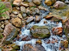 -广州白江湖森林公园