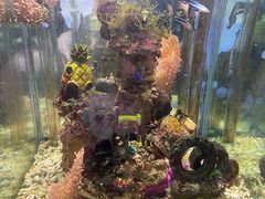 -太平洋海底世界