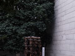 -良渚博物院