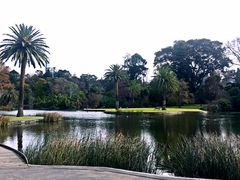 -墨尔本皇家植物园