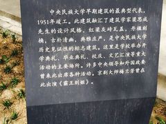 -中央民族大学