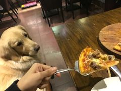 -百好乐宠物友好餐厅(朝外大街店)