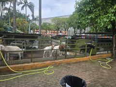 -观澜湖生态运动公社
