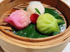 -点都德·毕德寮