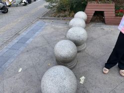 -睿宝儿科·眼科·口腔(杨浦新江湾城店)