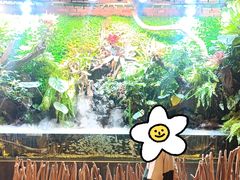 -玖壹咖啡(临河街店)