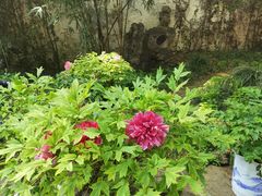 -惠山古镇·寄畅园