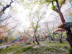 -沂蒙山旅游区龟蒙景区