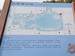 -天鹅湖体育公园