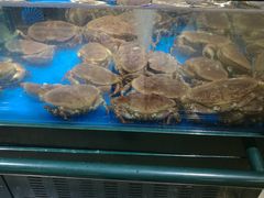 -长申超市(美食城店)