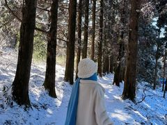 -庐山风景区花径公园