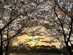 -黄兴公园