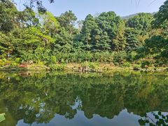 -深圳仙湖植物园