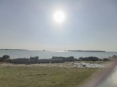 -苏州湾体育公园