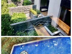 -上海崇明金茂凯悦酒店