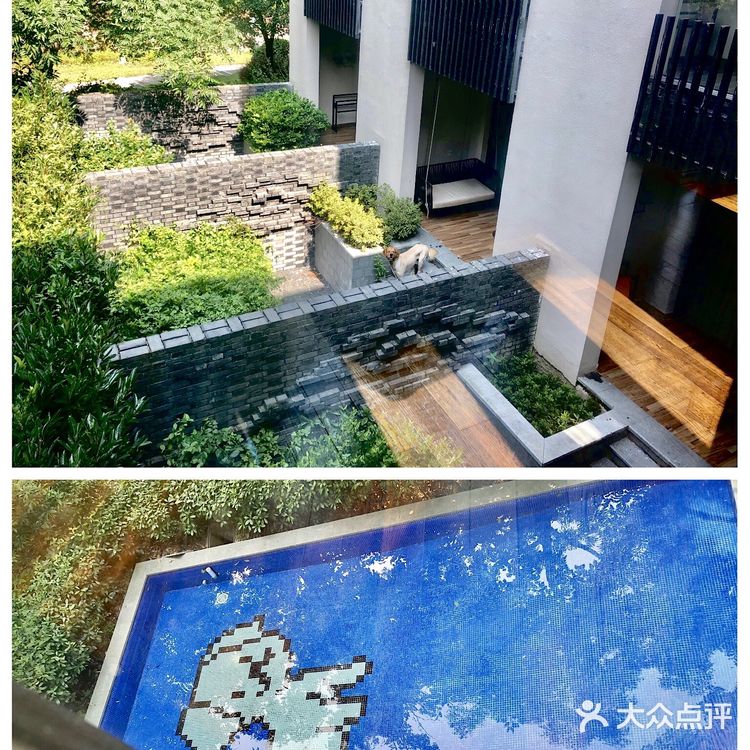 崇明十二时辰🌟在金茂体验🐎背上的快意｜魔都周边旅游攻略📝