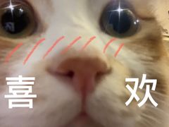 -WASHME大洗屋(虹桥南丰城直营店)
