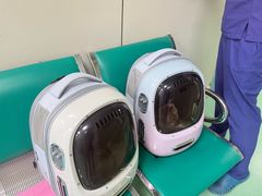 -北京观赏动物医院·24小时大型综合·猫专科·异宠专科