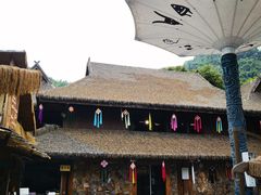 -西双版纳原始森林公园