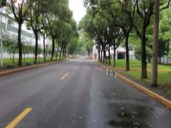 -上海海湾国家森林公园